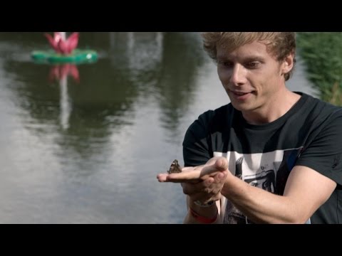 Videofragment — Nicholas